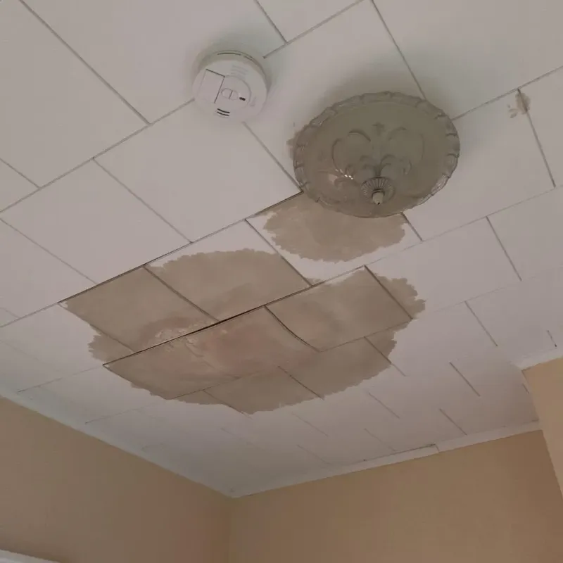 Ceiling Water Damage Repair in Center Moriches, NY